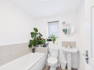 Photo 12- click for photo gallery